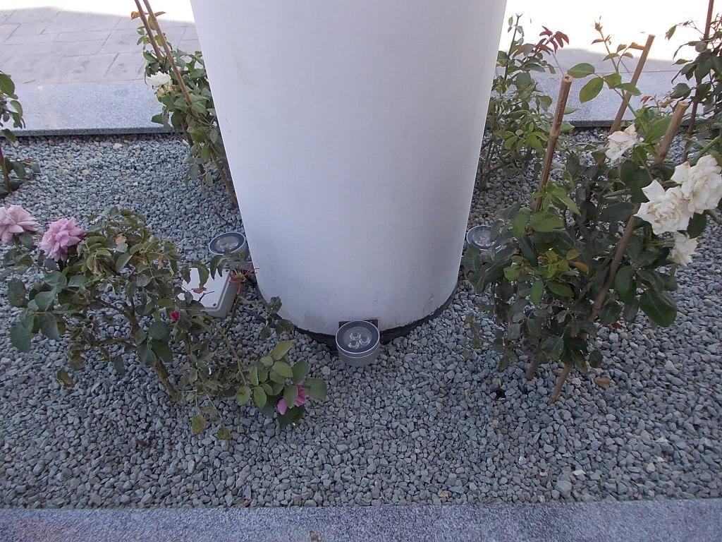 DSCN0447